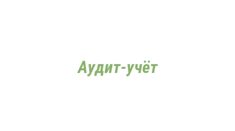 Логотип компании Аудит-учёт