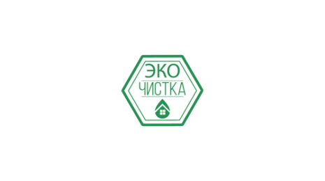 Логотип компании ЭКО ЧИСТКА