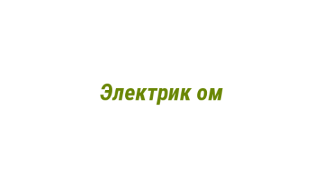 Логотип компании Электрик ом