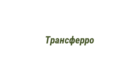Логотип компании Трансферро