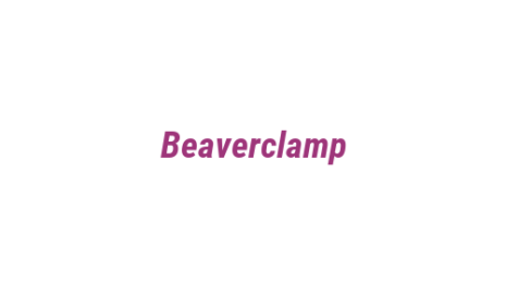 Логотип компании Beaverclamp