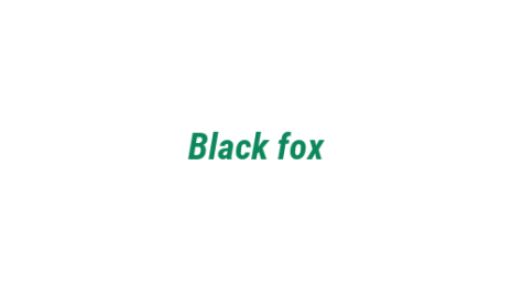 Логотип компании Black fox