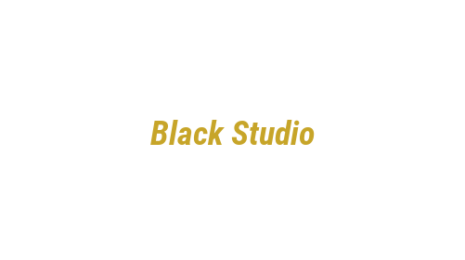 Логотип компании Black Studio