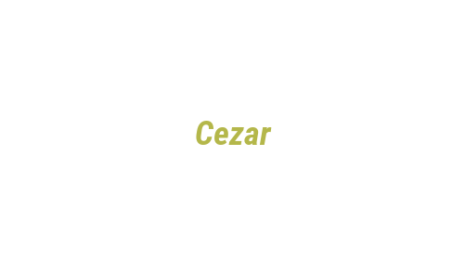 Логотип компании Cezar