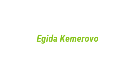 Логотип компании Egida Kemerovo