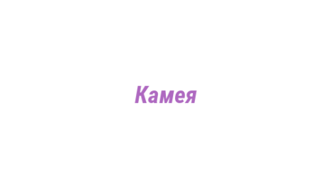 Логотип компании Камея