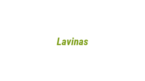 Логотип компании Lavinas