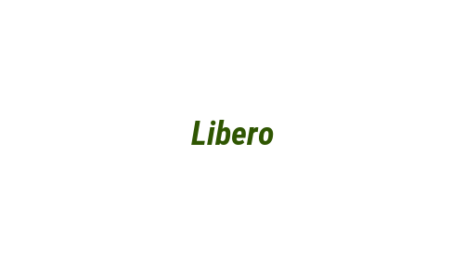 Логотип компании Libero