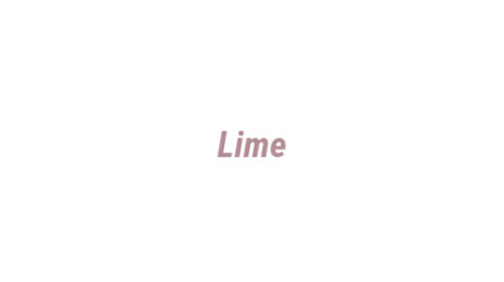Логотип компании Lime