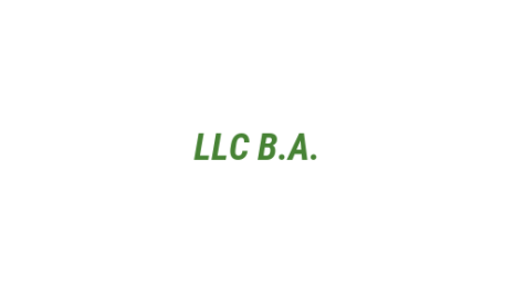 Логотип компании LLC B.A.