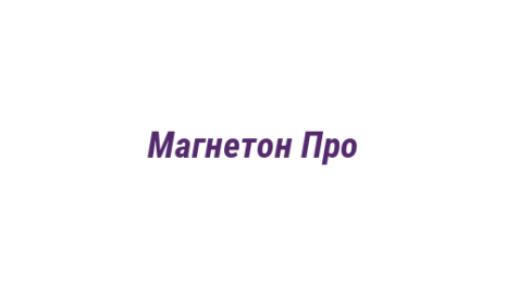 Логотип компании Магнетон Про