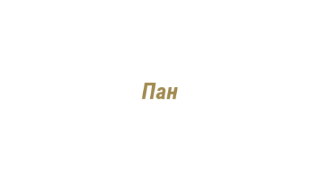Логотип компании Пан
