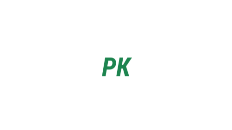 Логотип компании Proпилот Карлzон