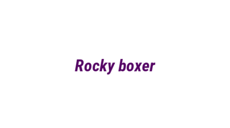 Логотип компании Rocky boxer