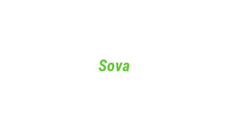 Логотип компании Sova