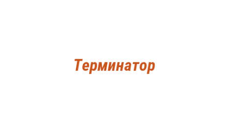 Логотип компании Терминатор