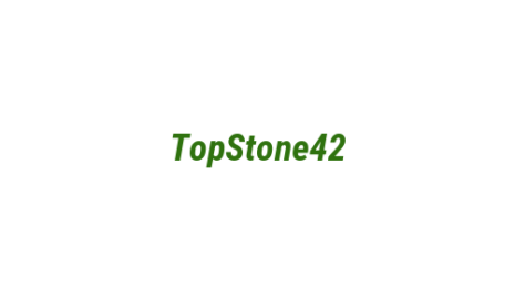 Логотип компании TopStone42