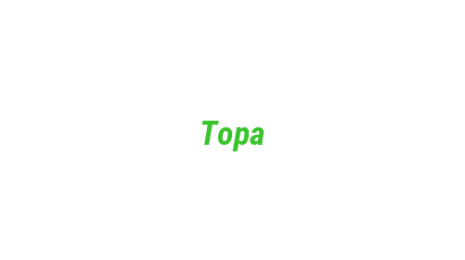 Логотип компании Тора