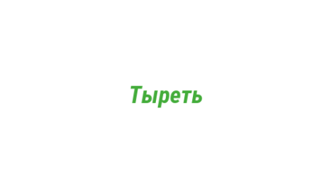 Логотип компании Тыреть