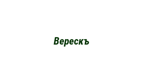 Логотип компании Верескъ