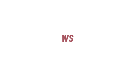 Логотип компании WS