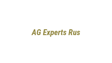 Логотип компании AG Experts Rus