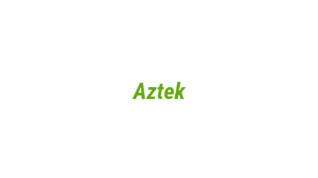 Логотип компании Aztek