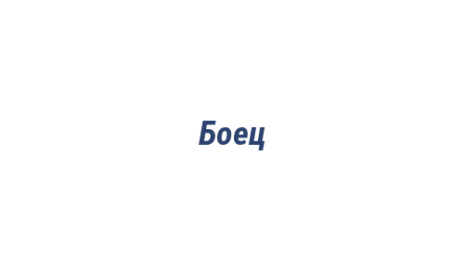 Логотип компании Боец