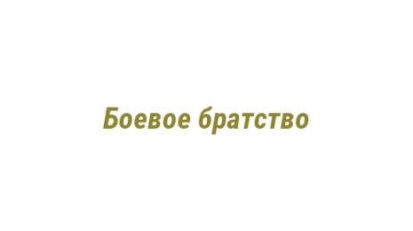 Логотип компании Боевое братство