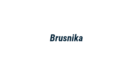 Логотип компании Brusnika