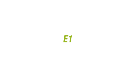 Логотип компании E1