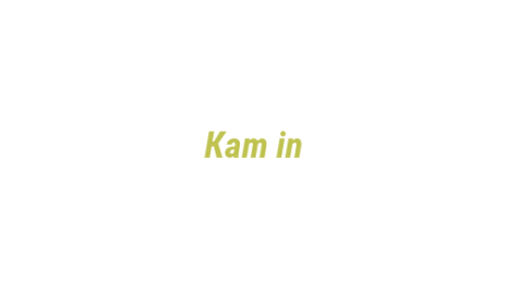 Логотип компании Кam in