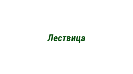 Логотип компании Лествица