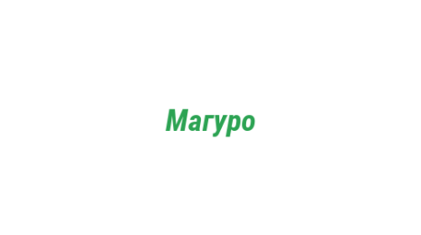 Логотип компании Магуро