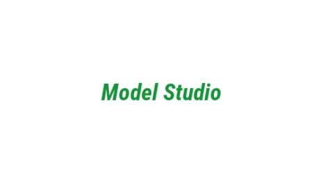 Логотип компании Model Studio