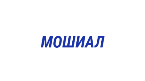 Логотип компании Мозжухинская общеобразовательная школа им. А.В. Лагунова