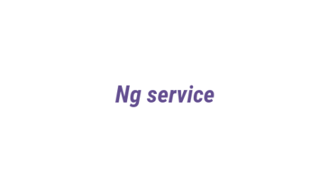 Логотип компании Ng service