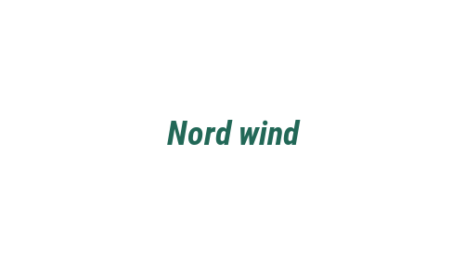 Логотип компании Nord wind