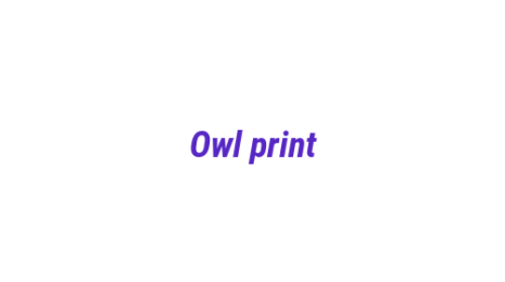 Логотип компании Owl print