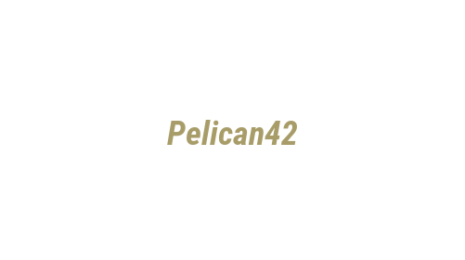 Логотип компании Pelican42