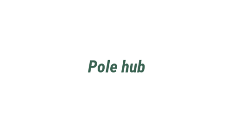 Логотип компании Pole hub