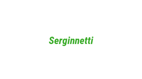 Логотип компании Serginnetti