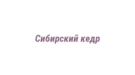 Логотип компании Сибирский кедр