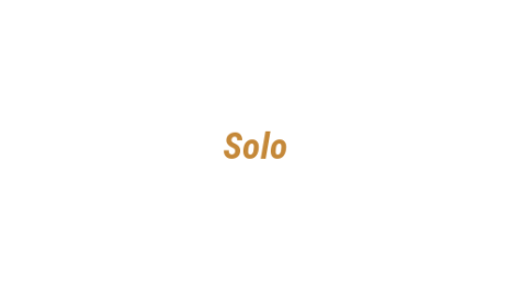 Логотип компании Solo