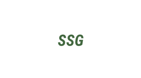 Логотип компании Standart Seo Group