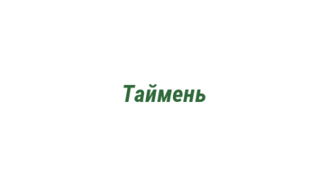 Логотип компании Таймень