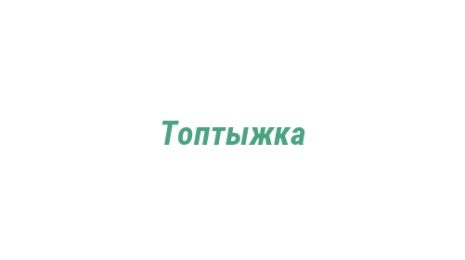 Логотип компании Топтыжка