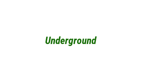 Логотип компании Underground
