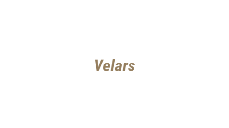 Логотип компании Velars