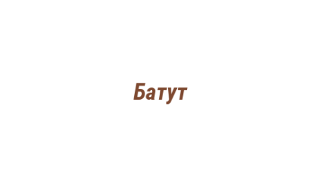 Логотип компании Батут